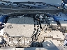 5NMJBCAE3PH****** Repairable 2023 Hyundai Tucson in Long Island