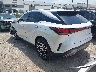 2T2BAMCA1SC****** Salvamento y Reparables 2025 Lexus RX en Dream Rides