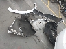 2G1115S32G9****** Destrozados 2016 Chevrolet Impala en Estado de Arizona