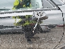 3CZRZ2H39RM****** Salvage and Wrecked 2024 Honda HR-V in Illinois State