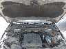 WA1L2AFP8GA****** Repairable 2016 Audi Q5 in Austin