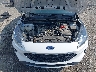 1FMCU9G63MU****** Reparables 2021 Ford Escape en Little Rock