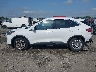 1FMCU9G63MU****** Reparables 2021 Ford Escape en Estado de Arkansas