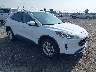 1FMCU9G63MU****** Salvamento y Destrozados 2021 Ford Escape en Little Rock