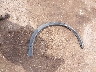 3VVMR7RM9SM****** Wrecked 2025 Volkswagen Tiguan in Oklahoma State