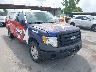 1FTRF12W49K****** Salvamento y Destrozados 2009 Ford F-150 en Dallas