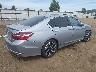 1HGCR2F78HA****** Salvage and Wrecked 2017 Honda Accord in Washington State