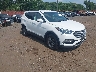 5NMZUDLB0HH****** Salvamento y Destrozados 2017 Hyundai Santa Fe en Sayreville