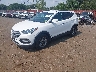 5NMZUDLB0HH****** Usados y Reparables 2017 Hyundai Santa Fe en Sayreville