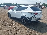 5NMZUDLB0HH****** Salvamento y Reparables 2017 Hyundai Santa Fe en Sayreville