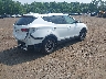 5NMZUDLB0HH****** Salvamento y Destrozados 2017 Hyundai Santa Fe en Estado de Nueva Jersey
