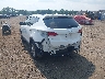 5NMZUDLB0HH****** Salvamento y Reparables 2017 Hyundai Santa Fe en Estado de Nueva Jersey