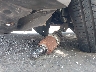 5N1AT2MT0HC****** Salvage and Repairable 2017 Nissan Rogue in Long Island