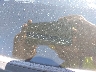 JTMRFREV8ED****** Used 2014 Toyota RAV4