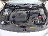 1N4AA6AP8HC****** Repairable 2017 Nissan Maxima in Baton Rouge