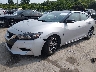 1N4AA6AP8HC****** Used and Repairable 2017 Nissan Maxima in Baton Rouge