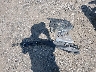 JN1EV7KL6MM****** Wrecked 2021 Infiniti Q60 in Massachusetts State