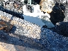 4S4BTADC5S3****** Salvage 2025 Subaru Outback in New York State