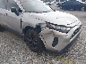 2T3K1RFV5RC****** Salvage and Repairable 2024 Toyota RAV4 in Florida State
