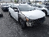 3N1AB7AP2DL****** Salvage and Wrecked 2013 Nissan Sentra in Ace Perris