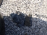 W08AR671485****** Wrecked 2008 Saturn Astra in Missouri State