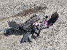 3C4NJDCB2NT****** Destrozados 2022 Jeep Compass en Estado de Nueva Jersey