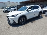 JTJGKCEZ1S2****** Usados y Reparables 2025 Lexus NX en Dream Rides