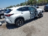 JTJGKCEZ1S2****** Salvamento y Destrozados 2025 Lexus NX en Estado de California