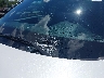 7FARS6H50RE****** Salvamento y Reparables 2024 Honda CR-V Hybrid en Estado de Rhode Island
