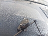 1FTEW1CM0EF****** Salvage 2014 Ford F-150 in Texas State