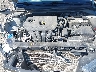 5NPD84LF5LH****** Repairable 2020 Hyundai Elantra in Albany