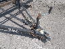 4T9U1GB13MT****** Salvamento 2021 Trailer Other en Vermilion - North Ford Lot