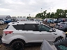 1FMCU0JX1EU****** Reparables 2014 Ford Escape en Estado de Ohio