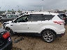1FMCU0JX1EU****** Salvamento 2014 Ford Escape