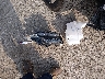 5NMJB3DE5SH****** Wrecked 2025 Hyundai Tucson in Louisiana State