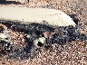 00000000000****** Used and Repairable 1967 Johnson Other in Missouri State