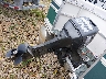 BUJ0481***** Repairable 1999 Fisher Pontoon in Rec Rides Online Exclusive