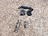 3NSG4C927PG****** Wrecked 2023 Polaris GENERAL in Texas State