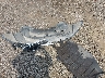 2C3CCAAG2CH****** Wrecked 2012 Chrysler 300 in South Carolina State