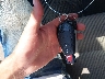 1D7RV1CT1AS****** Salvamento 2010 Dodge Ram 1500 en Estado de Dakota del Sur