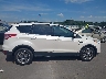 1FMCU0G97EU****** Usados 2014 Ford Escape en Estado de Illinois