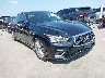 JN1EV7AP7KM****** Salvage and Wrecked 2019 Infiniti Q50 in Austin