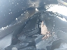 7SAYGDEE6NA****** Repairable 2022 Tesla Model Y in Bridgeport