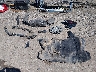 4S3GKAA66K3****** Wrecked 2019 Subaru Impreza in West Virginia State