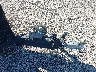 5TJBE2313KM****** Repairable 2019 Americana Fish House in Rec Rides Online Exclusive