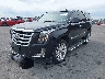 1GYS4CKJ5KR****** Usados y Reparables 2019 Cadillac Escalade en Saint Louis