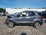 MAJ6S3GL6NC****** Salvamento 2022 Ford Ecosport
