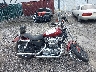 1HD1CT3189K****** Salvage 2009 Harley-Davidson Sportster 1200 Custom in Kentucky State
