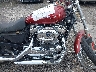 1HD1CT3189K****** Wrecked 2009 Harley-Davidson Sportster 1200 Custom in Rec Rides Online Exclusive