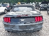 1FATP8UH1K5****** Wrecked 2019 Ford Mustang